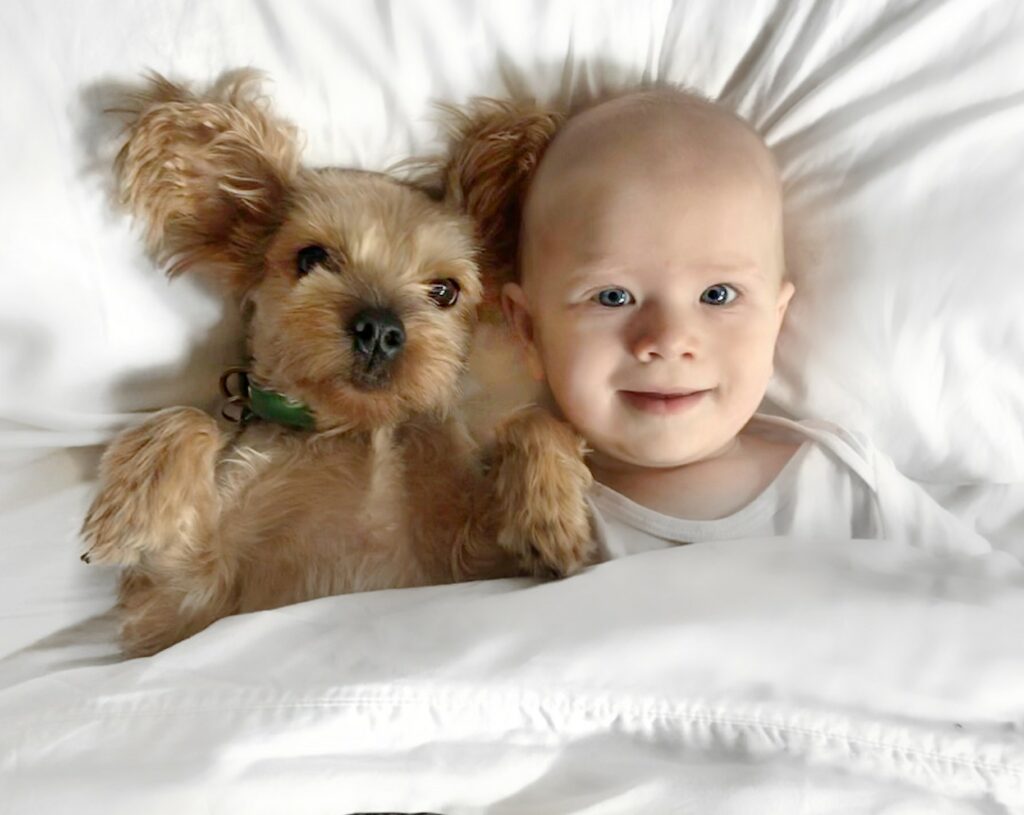 Hund och barn i säng